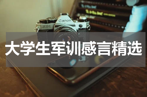 大学生军训感言精选