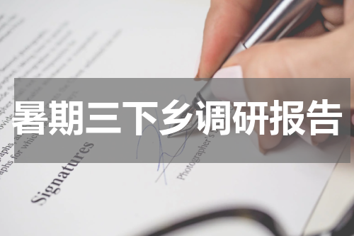 暑期三下乡调研报告