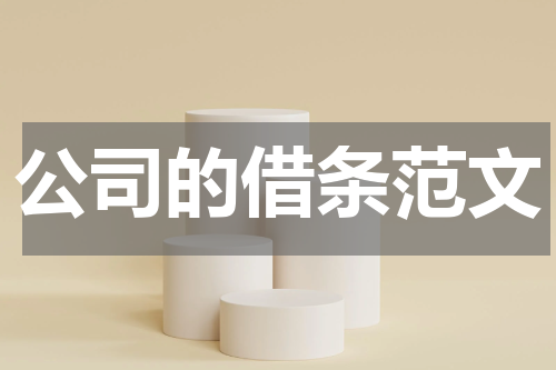 公司的借条范文