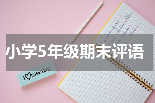 小学5年级期末评语