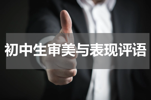 初中生审美与表现评语