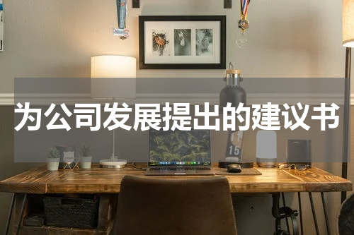 为公司发展提出的建议书