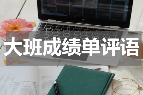 大班成绩单评语