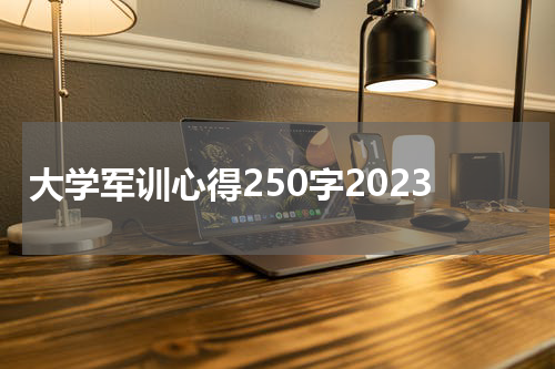 大学军训心得250字2023