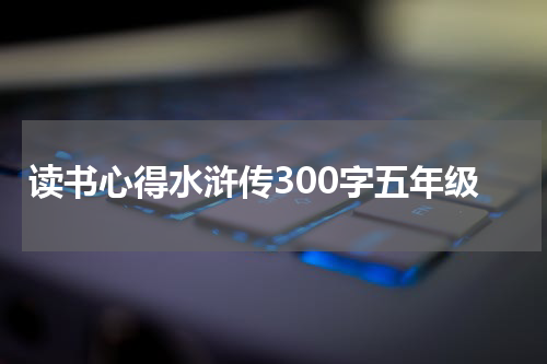 读书心得水浒传300字五年级