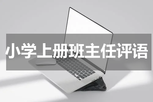 小学上册班主任评语