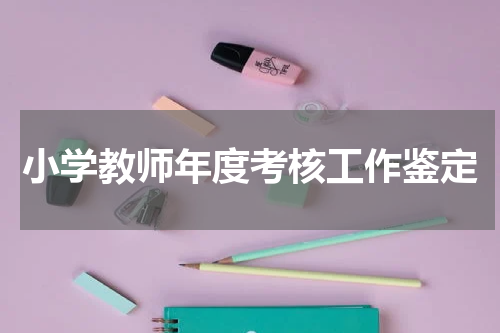 小学教师年度考核工作鉴定
