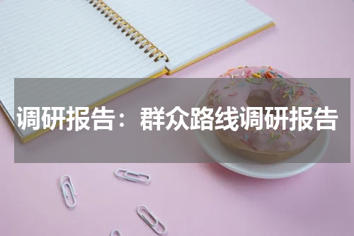 调研报告：群众路线调研报告