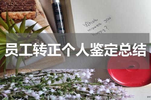 员工转正个人鉴定总结