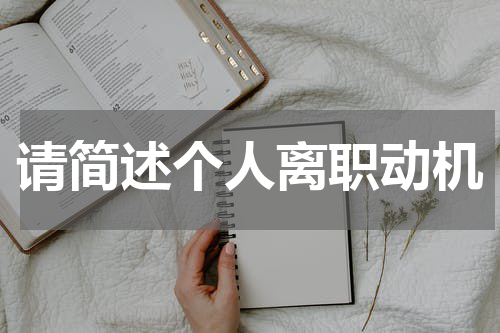 请简述个人离职动机