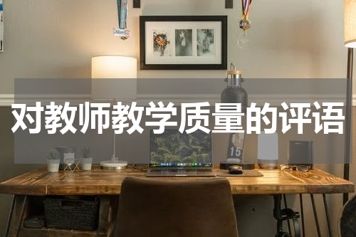 对教师教学质量的评语