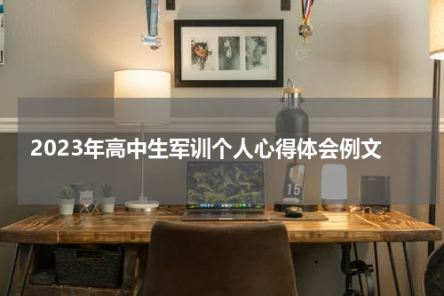 2023年高中生军训个人心得体会例文