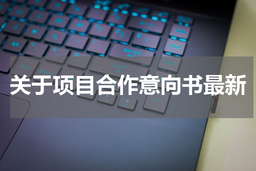 关于项目合作意向书最新