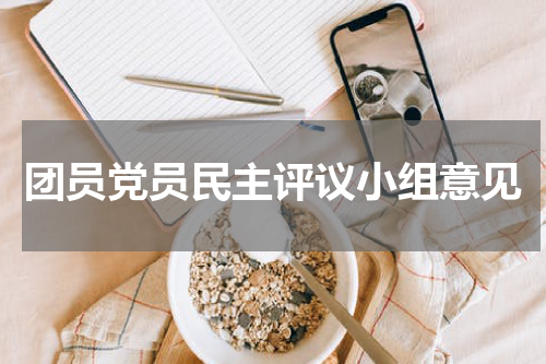 团员党员民主评议小组意见