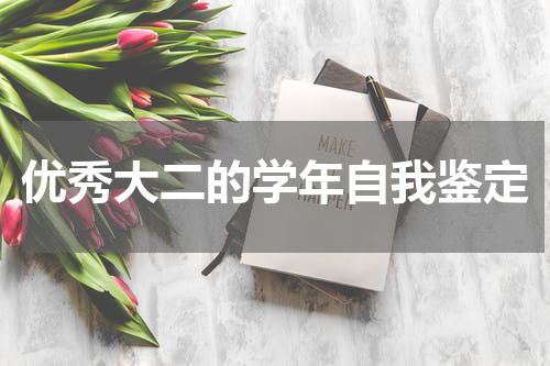 优秀大二的学年自我鉴定