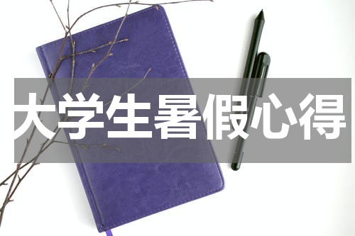 大学生暑假心得