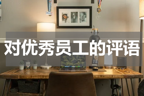对优秀员工的评语