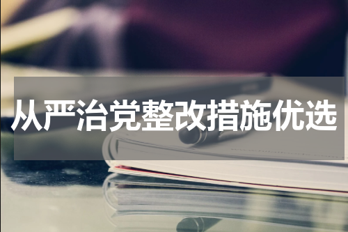 从严治党整改措施优选