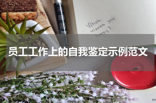 员工工作上的自我鉴定示例范文