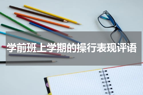 学前班上学期的操行表现评语