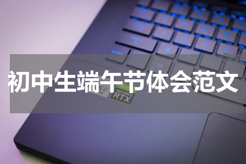 初中生端午节体会范文