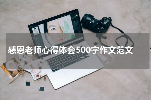 感恩老师心得体会500字作文范文