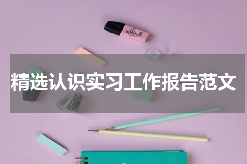 精选认识实习工作报告范文