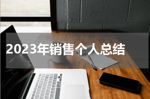 2023年销售个人总结