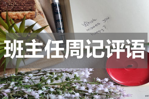 班主任周记评语
