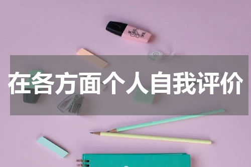 在各方面个人自我评价