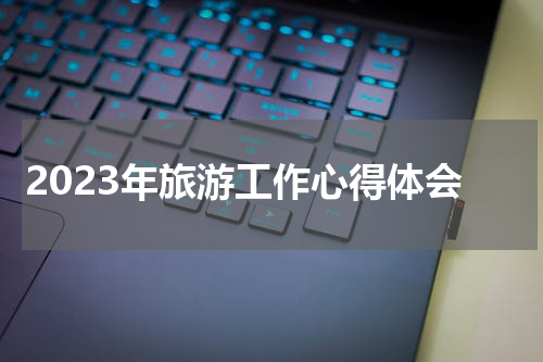 2023年旅游工作心得体会