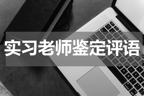 实习老师鉴定评语