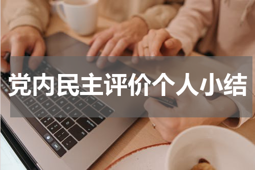 党内民主评价个人小结