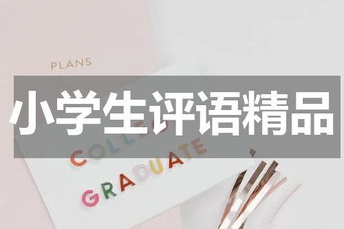 小学生评语精品