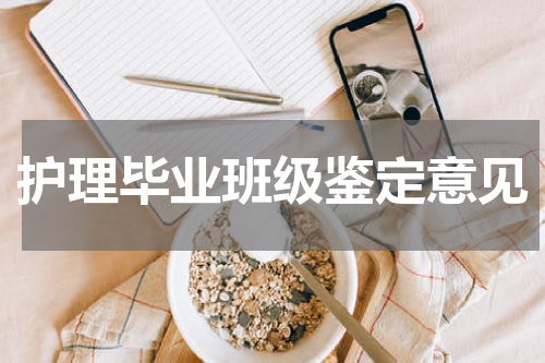 护理毕业班级鉴定意见