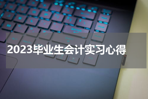 2023毕业生会计实习心得