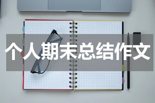 个人期末总结作文