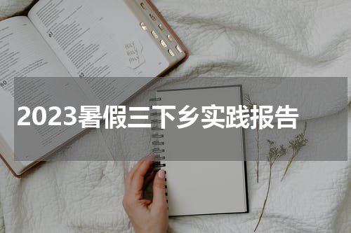 2023暑假三下乡实践报告