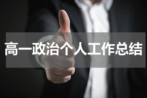 高一政治个人工作总结