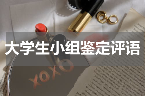 大学生小组鉴定评语