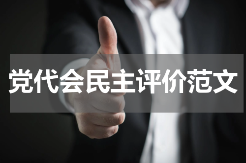 党代会民主评价范文