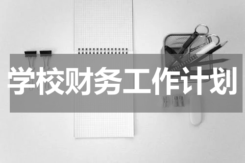 学校财务工作计划