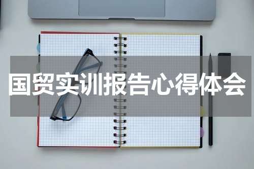 国贸实训报告心得体会