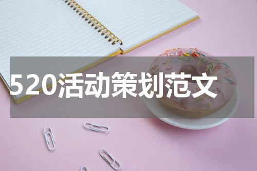 520活动策划范文