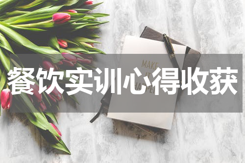 餐饮实训心得收获