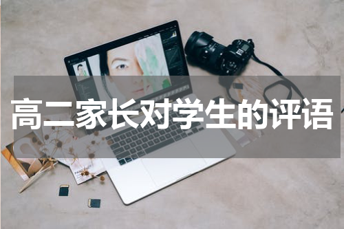高二家长对学生的评语