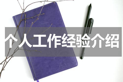 个人工作经验介绍