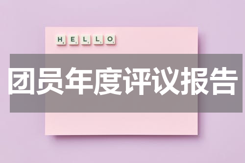 团员年度评议报告