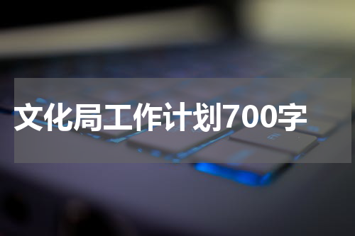 文化局工作计划700字