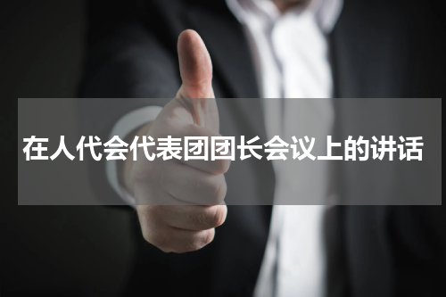 在人代会代表团团长会议上的讲话